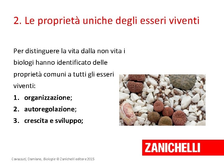 2. Le proprietà uniche degli esseri viventi Per distinguere la vita dalla non vita 2. Le proprietà uniche degli esseri viventi Per distinguere la vita dalla non vita