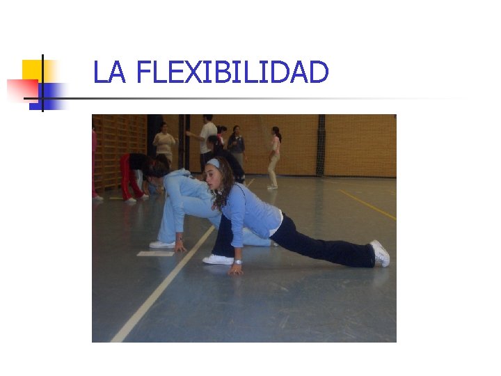 LA FLEXIBILIDAD 