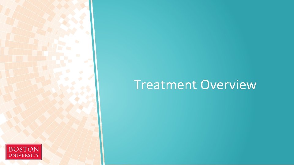 Treatment Overview 