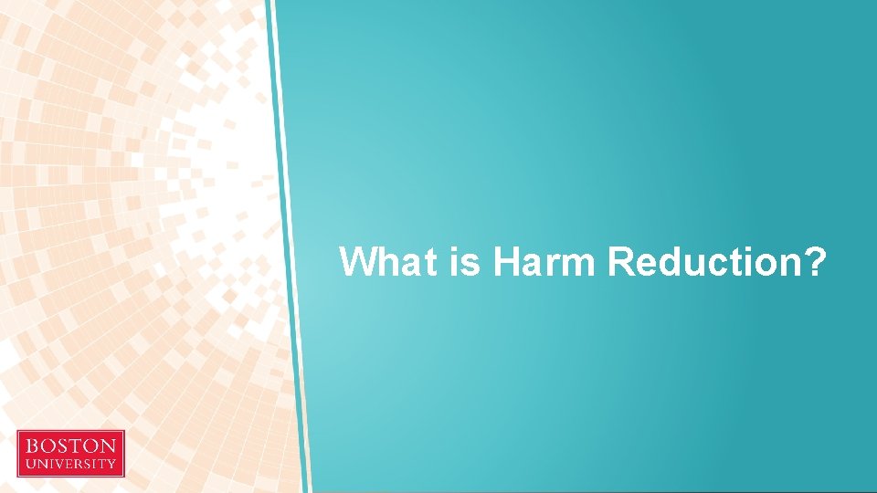What is Harm Reduction? 