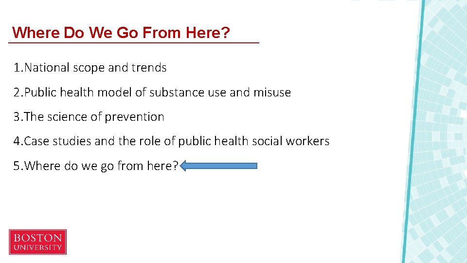 Where Do We Go From Here? 1. National scope and trends 2. Public health