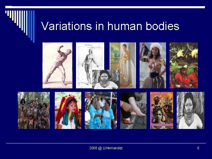 Variations in human bodies 2008 @ LIHernandez 6 