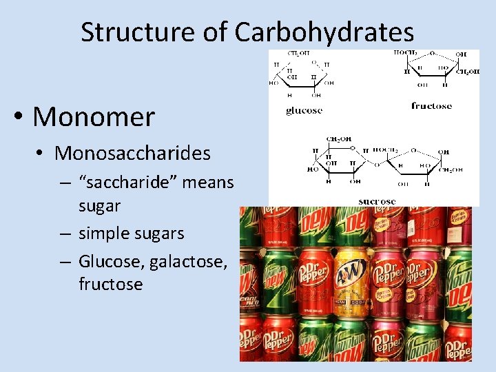 Structure of Carbohydrates • Monomer • Monosaccharides – “saccharide” means sugar – simple sugars