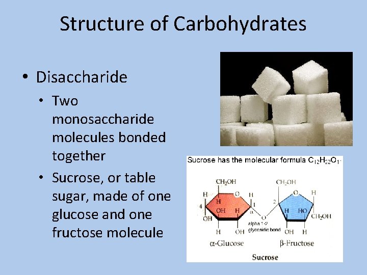 Structure of Carbohydrates • Disaccharide • Two monosaccharide molecules bonded together • Sucrose, or