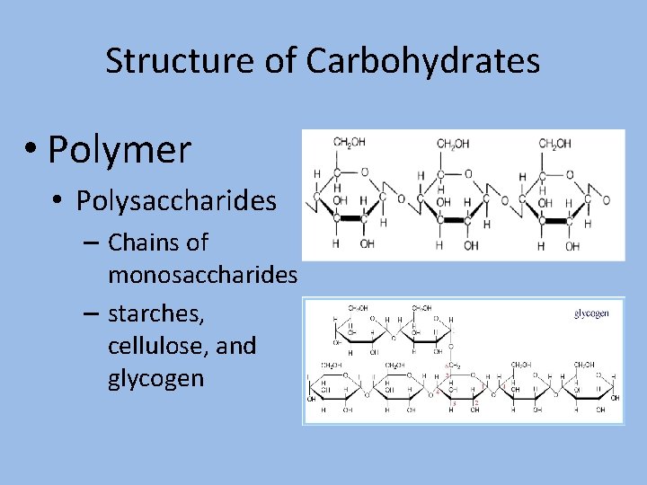 Structure of Carbohydrates • Polymer • Polysaccharides – Chains of monosaccharides – starches, cellulose,