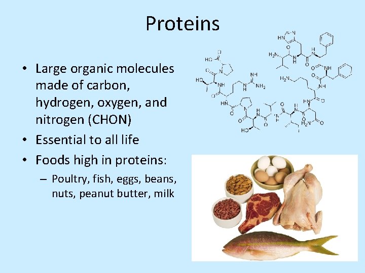 Proteins • Large organic molecules made of carbon, hydrogen, oxygen, and nitrogen (CHON) •