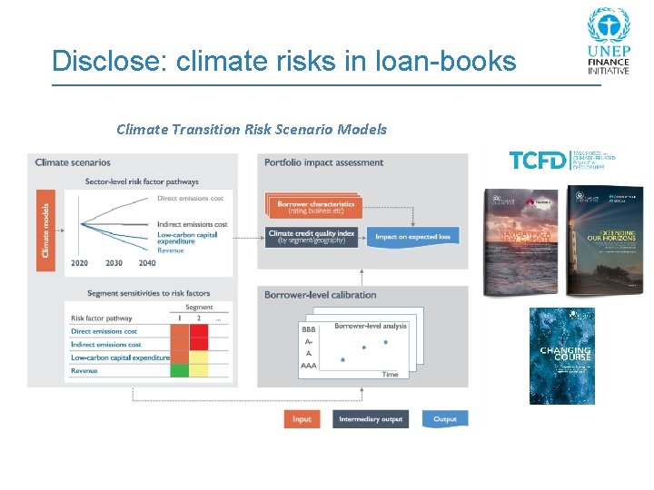 Disclose: climate risks in loan-books Climate Transition Risk Scenario Models 