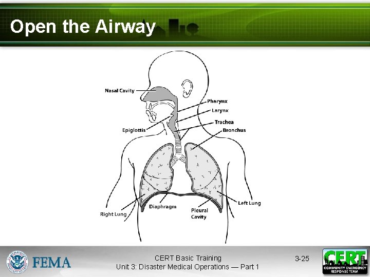 Open the Airway CERT Basic Training Unit 3: Disaster Medical Operations — Part 1