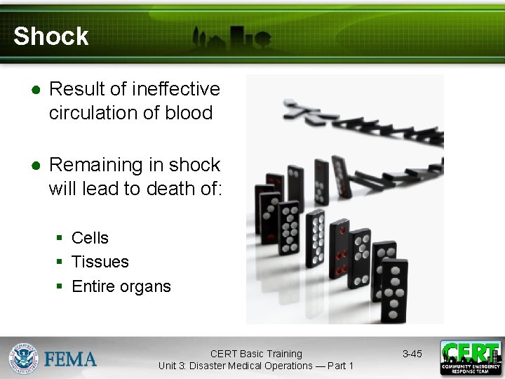 Shock ● Result of ineffective circulation of blood ● Remaining in shock will lead