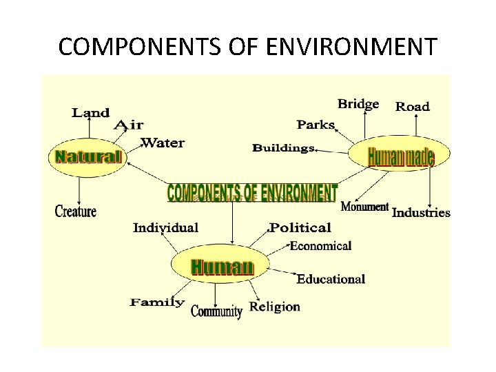 COMPONENTS OF ENVIRONMENT 