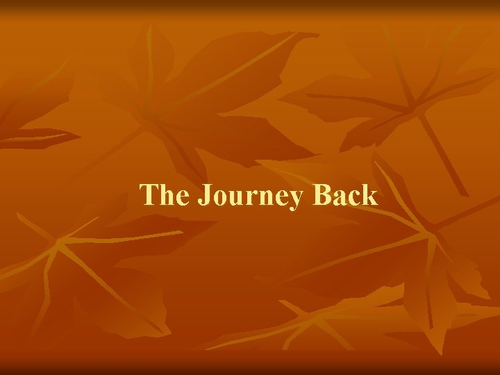 The Journey Back 