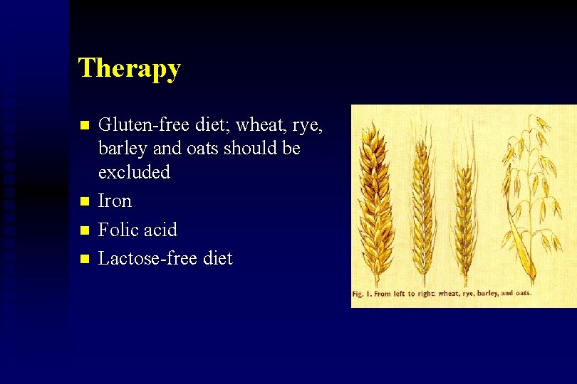 Therapy n n Gluten-free diet; wheat, rye, barley and oats should be excluded Iron