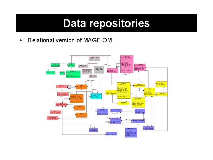 Data repositories • Relational version of MAGE-OM 