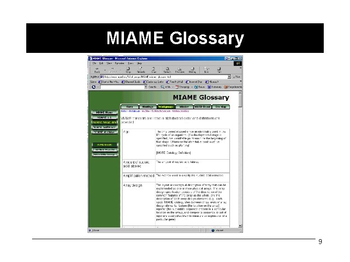 MIAME Glossary 9 