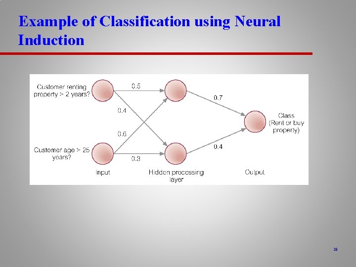 Example of Classification using Neural Induction 20 