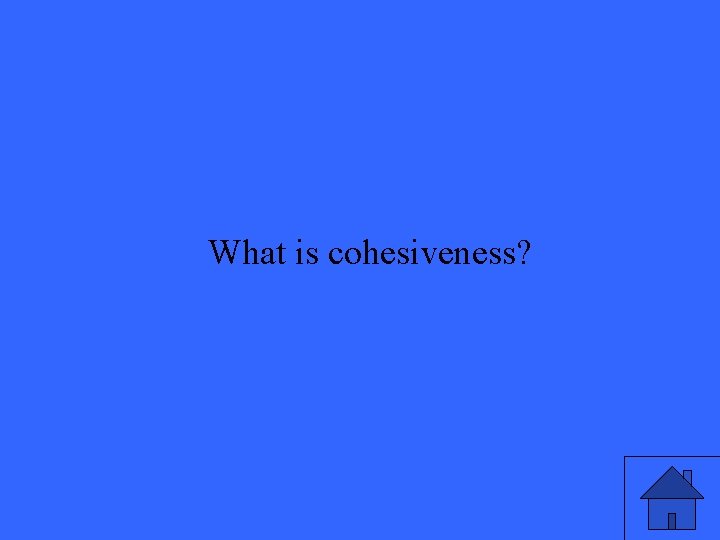 What is cohesiveness? 