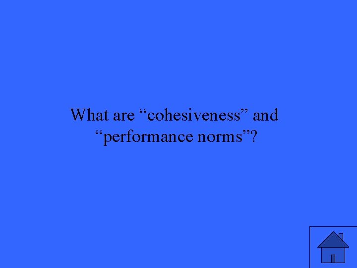 What are “cohesiveness” and “performance norms”? 