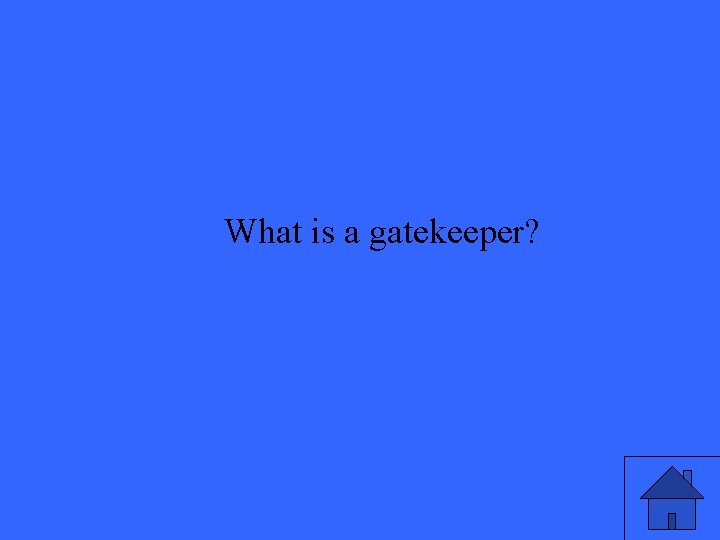 What is a gatekeeper? 