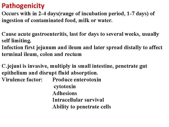 Pathogenicity Occurs with in 2 -4 days(range of incubation period, 1 -7 days) of