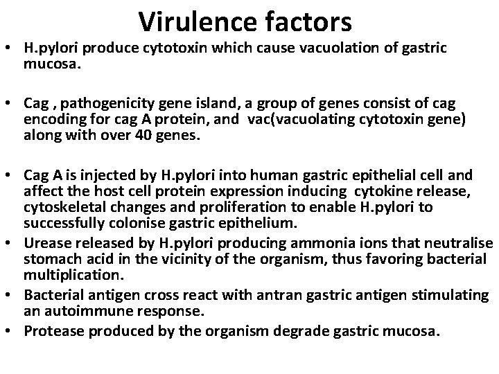 Virulence factors • H. pylori produce cytotoxin which cause vacuolation of gastric mucosa. •