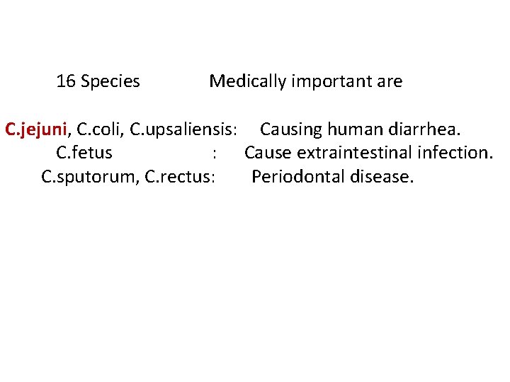 16 Species Medically important are C. jejuni, C. coli, C. upsaliensis: Causing human diarrhea.