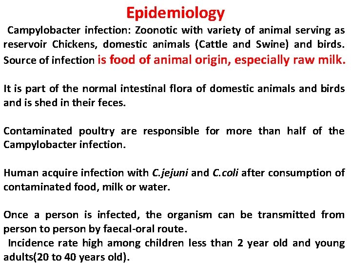 Epidemiology Campylobacter infection: Zoonotic with variety of animal serving as reservoir Chickens, domestic animals