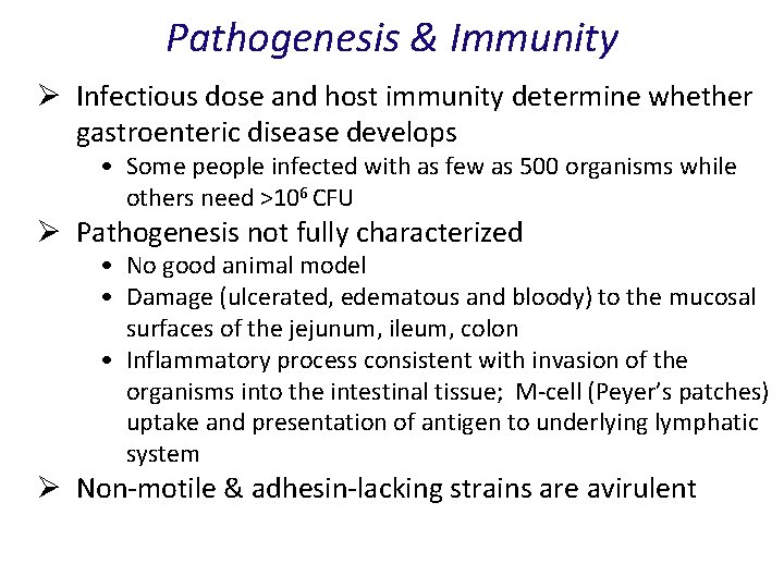 Pathogenesis & Immunity Ø Infectious dose and host immunity determine whether gastroenteric disease develops