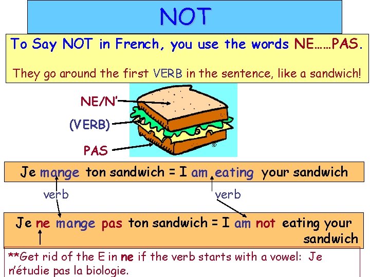 NOT To Say NOT in French, you use the words NE……PAS. They go around