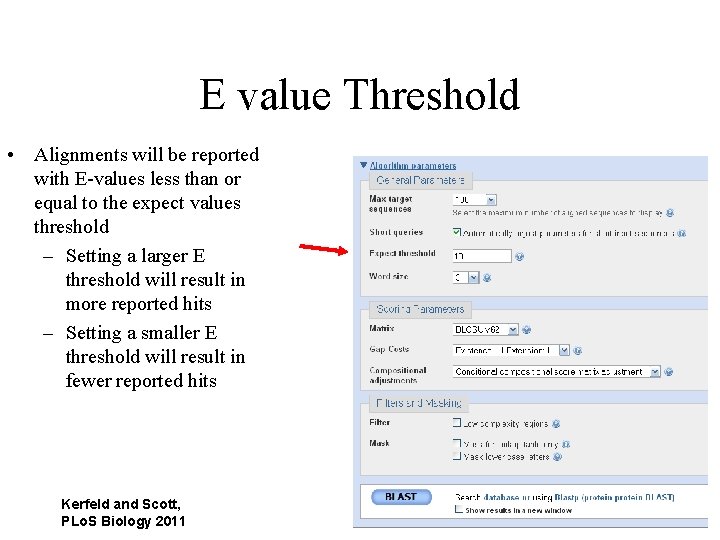 E value Threshold • Alignments will be reported with E-values less than or equal