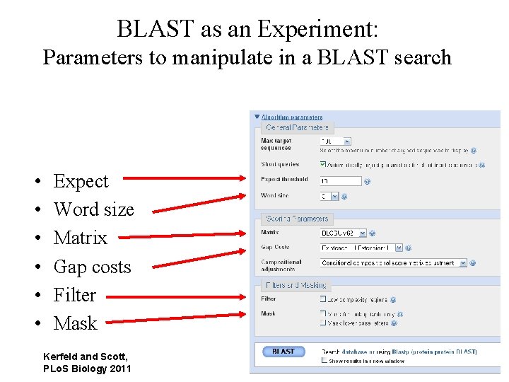 BLAST as an Experiment: Parameters to manipulate in a BLAST search • • •