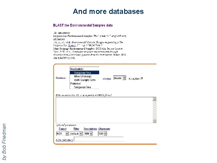 by Bob Friedman And more databases 