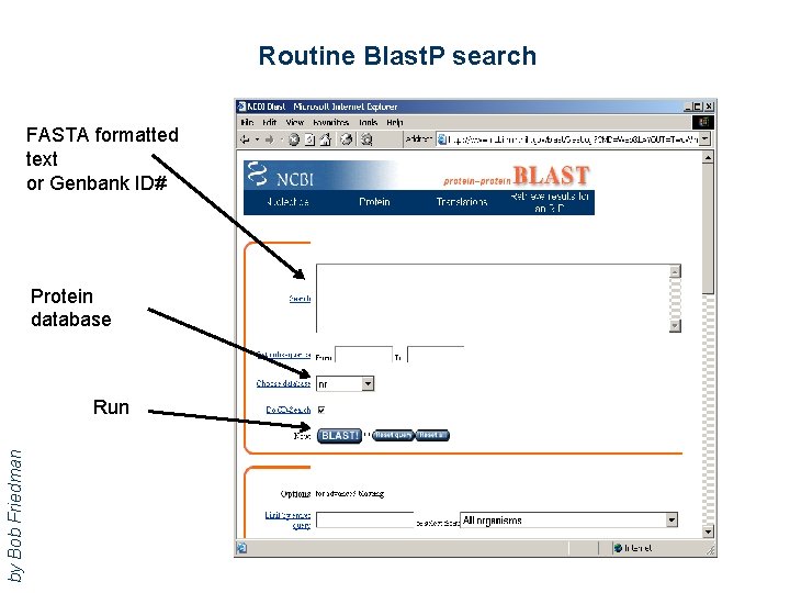 Routine Blast. P search FASTA formatted text or Genbank ID# Protein database by Bob