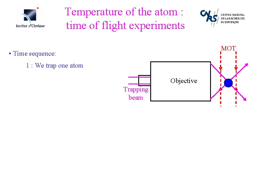 Temperature of the atom : time of flight experiments MOT • Time sequence: 1