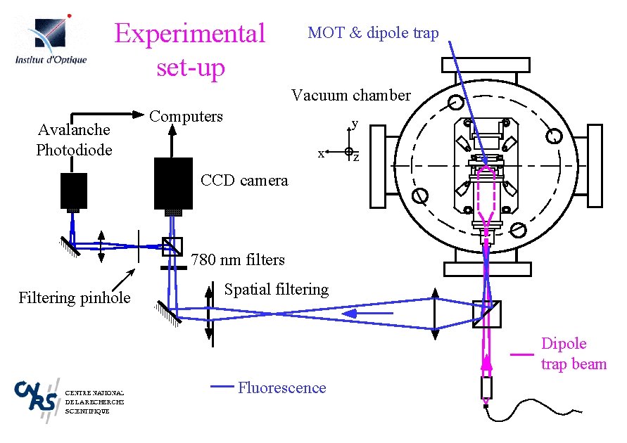 Experimental set-up MOT & dipole trap Vacuum chamber Avalanche Photodiode Computers y x z