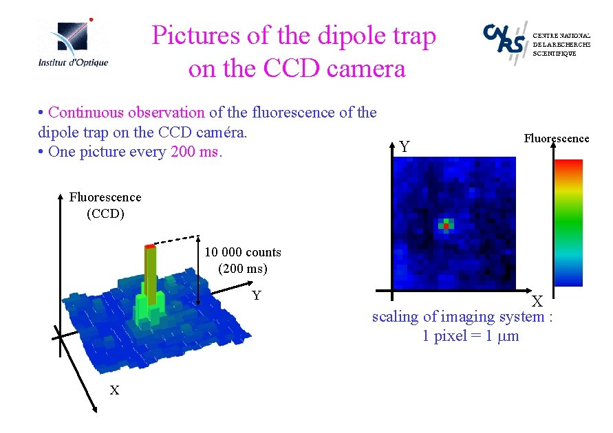 Pictures of the dipole trap on the CCD camera • Continuous observation of the