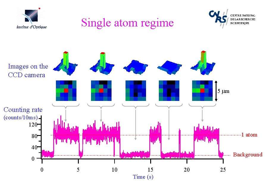 Single atom regime Images on the CCD camera 5 mm Counting rate (counts/10 ms)