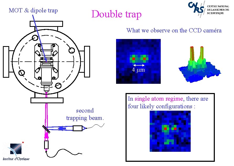 MOT & dipole trap Double trap What we observe on the CCD caméra 4