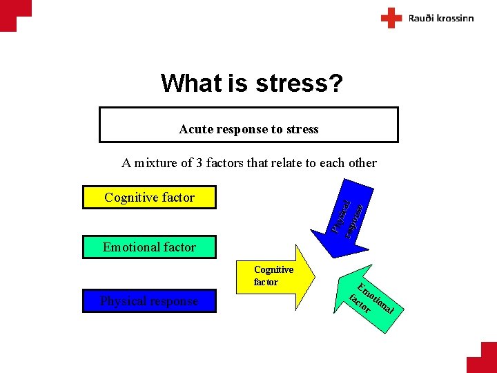 What is stress? Acute response to stress A mixture of 3 factors that relate