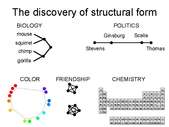 The discovery of structural form BIOLOGY POLITICS mouse squirrel chimp Ginsburg Scalia Stevens Thomas