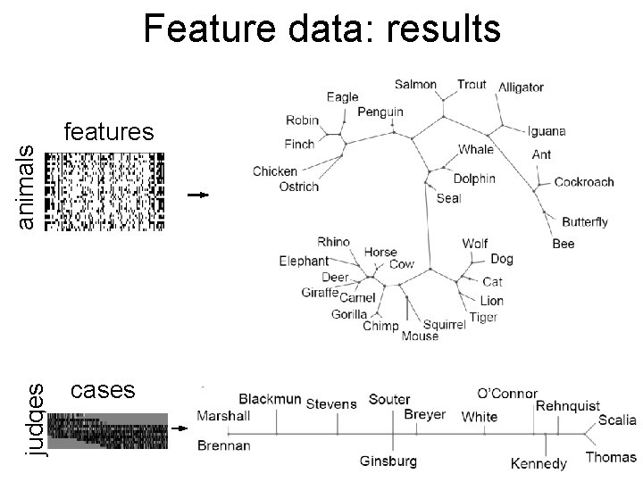 judges animals Feature data: results features cases 