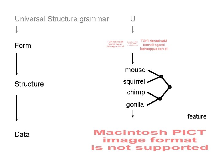 Universal Structure grammar U Form mouse Structure squirrel chimp gorilla feature Data 