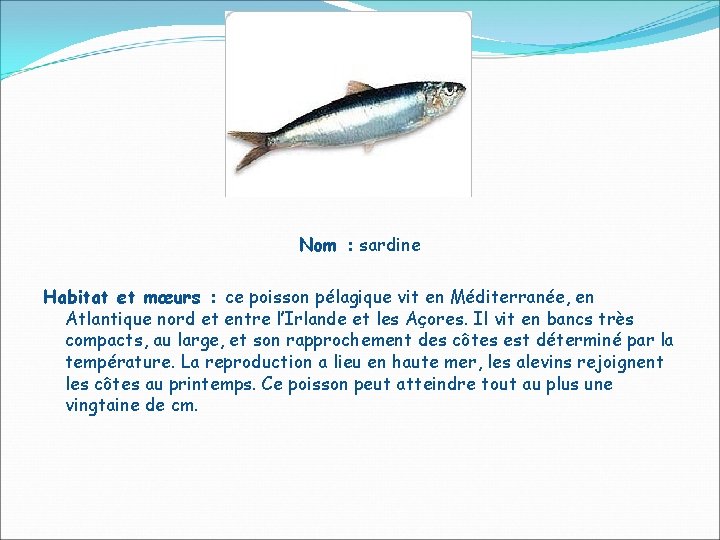 Nom : sardine Habitat et mœurs : ce poisson pélagique vit en Méditerranée, en