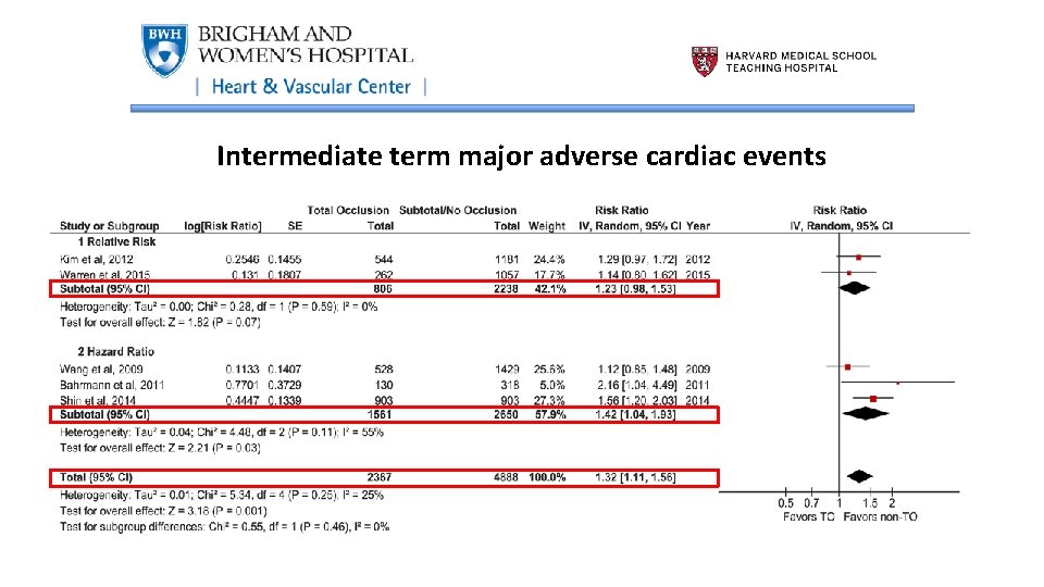 Intermediate term major adverse cardiac events 