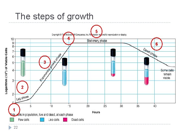 The steps of growth 5 4 6 3 2 1 22 The steps of growth 5 4 6 3 2 1 22