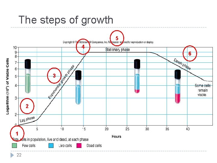 The steps of growth 5 4 6 3 2 1 22 