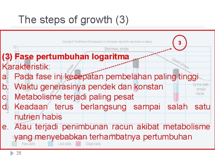 The steps of growth (3) 3 (3) Fase pertumbuhan logaritma Karakteristik: a. Pada fase