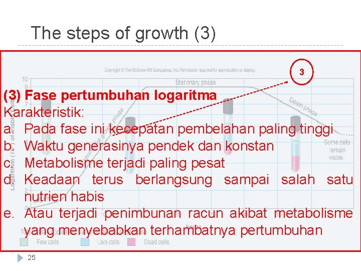 The steps of growth (3) 3 (3) Fase pertumbuhan logaritma Karakteristik: a. Pada fase The steps of growth (3) 3 (3) Fase pertumbuhan logaritma Karakteristik: a. Pada fase