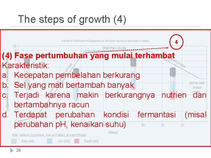 The steps of growth (4) 4 (4) Fase pertumbuhan yang mulai terhambat Karakteristik: a.