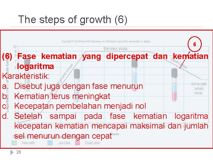 The steps of growth (6) 6 (6) Fase kematian yang dipercepat dan kematian logaritma