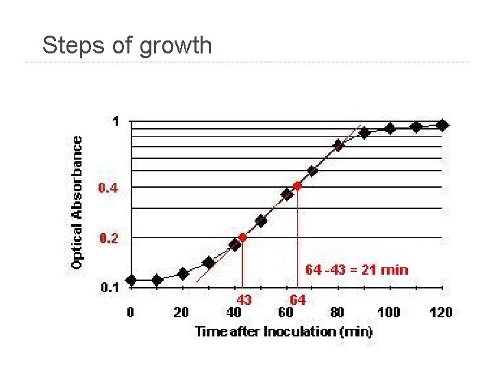 Steps of growth 29 
